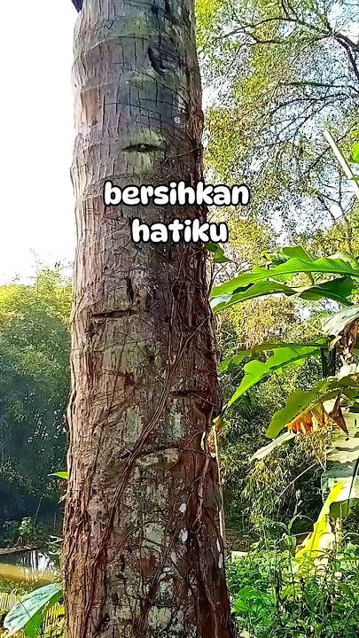 Ya Allah aku datang dengan penuh luka dan dosa #doakuhariini #ampunilah #quotes #katahikmahkehidupan
