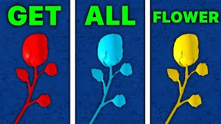 All Flower Locations to get Race V2 - Blox Fruits | 2024!