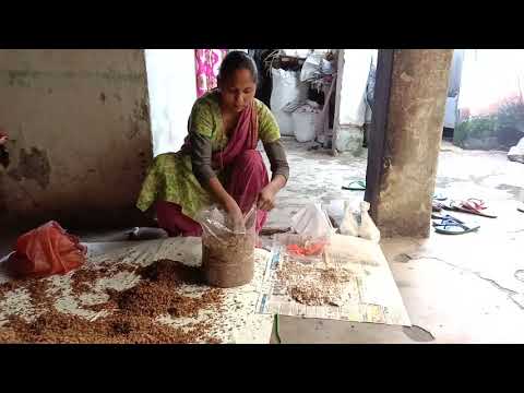 वीडियो: अंडे और मशरूम से भरा पाईक