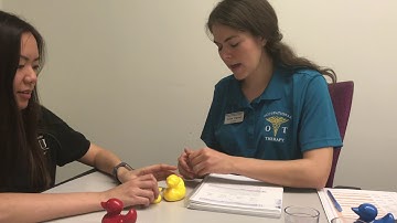 Bayley Demonstration - Cognitive