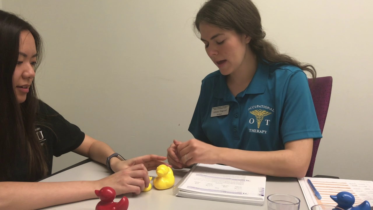 Bayley Demonstration - Cognitive