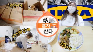 [쥐혼자산다] #0. 진짜 자취해요!!! 이사하는 날 VLOG! (짐싸기/이케아/자취방공개/집청소/하울/혼밥)