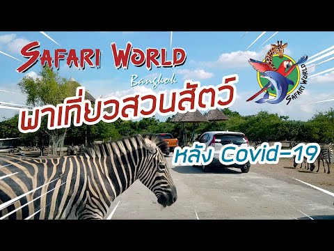 พาเที่ยวสวนสัตว์ซาฟารีเวิลด์ (Safari World) หลังโควิด-19 (Covid-19) : ออกไปดูสัตว์ EP.1