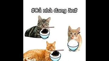 Gọi ba xuống ăn cơm, KO. Ăn trứng cá đi con, KO