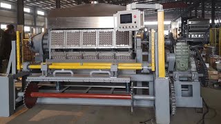 PT 5-8 5000pcs/h Automatic Egg Tray Plant Production Line with Metal Dryer | New Dawn Machinery