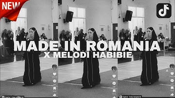 YANG KALIAN CARI!!! DJ MADE IN ROMANIA YALI YALI X MELODI HABIBIE VIRAL TIKTOK 2025