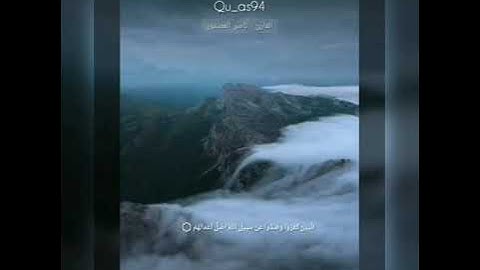 سورة محمد (القارئ : ناصر العصفور )