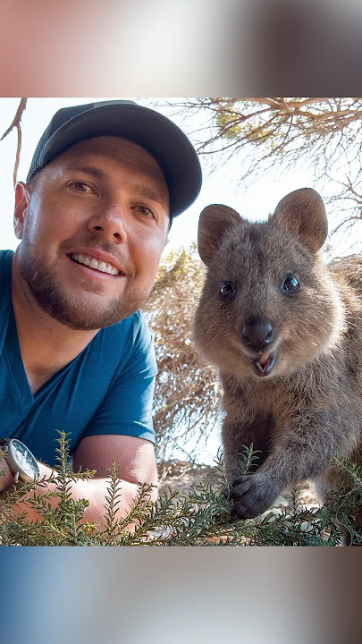 Quokka Selfie!
