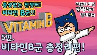 비타민B군! 난 뭘 먹어야 하는가? 총정리편
