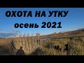 ОХОТА НА УТКУ С ЧУЧЕЛАМИ осень 2021 ч. 1