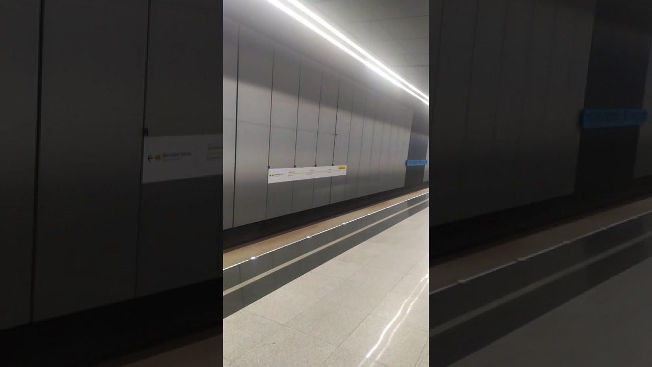 Lomonosovsky Prospekt Moscow Metro Station, Fragment 8  Ломоносовский проспект станция метро Москвы