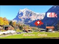 🇨🇭 SWITZERLAND  GRINDELWALD  PART 4   ITSELWALD   LAKE BRIENZ   ZERMAT   SPIEZ  THUN   Suiza  4K 🇨🇭