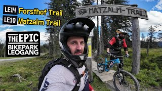 Mein absoluter Lieblingstrail in Leogang | Forsthof & Matzalm Trail + Eine bitte an euch!