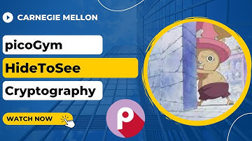 picoGym (picoCTF) Exercise: HideToSee