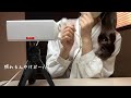 【ASMR】ツンデレ彼女の耳かき屋さんに来てみたら反応が可愛すぎたロールプレイ/sr3d/地声/小声【囁き声】