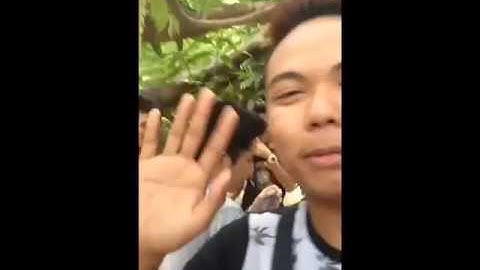 gamma lambda omega fraternity sorority glofs neust main mu chapter