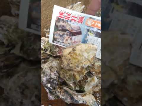 桃こまち。正確には、三重県鳥羽市答志島桃取産の牡蠣です。良いですよ!