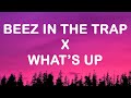 Nicki Minaj 4 Non Blondes Beez In The Trap X What S Up TikTok Mashup Lyrics