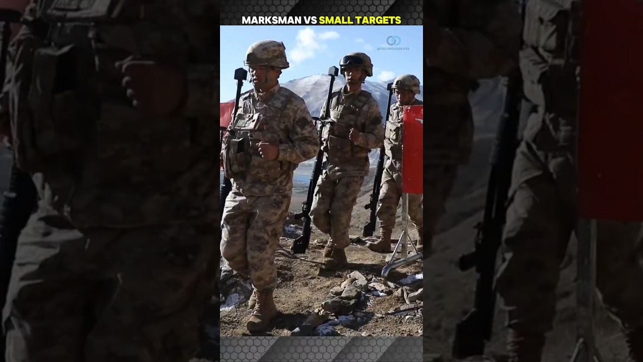 marksman vs small targets: long range precision