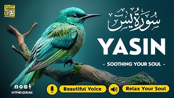 Relaxing Surah Yasin for Sleep, Depression, & Anxiety ✦ Yaseen سورة يس ✦ Relaxing Quran ✦ Hejazi