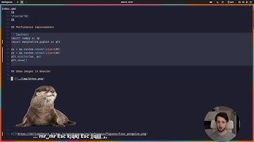 Display images in Neovim and more amazing new features for working with Quarto!