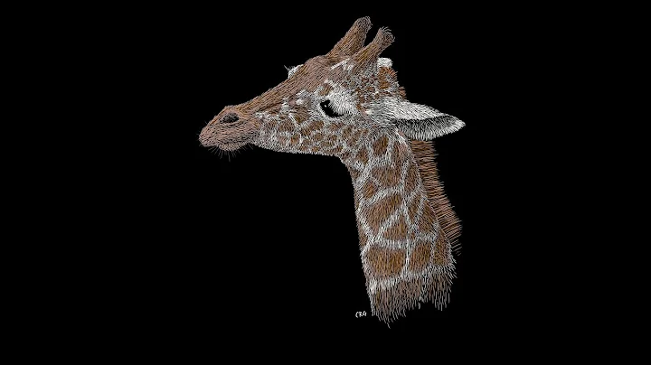Drawing a Giraffe