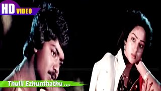 துள்ளி எழுந்தது பாட்டு பாடல் | Thulli Ezhunthathu song | K. S. Chithra, Ilaiyaraaja | Geethanjali .