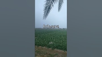 سوره طه Taa-Haa #سورة_طه #حجاج_الهنداوي #اكسبلور #قران_كريم #قرآن #ارح_قلبك #تلاوات_خاشعة #explore