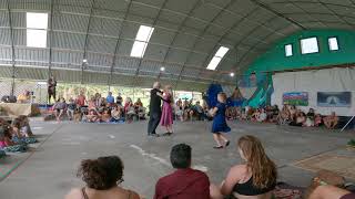 Mac Nutcracker in Puna