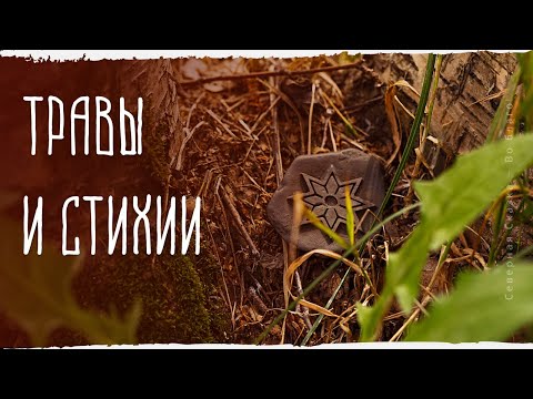Стихийная магия трав.