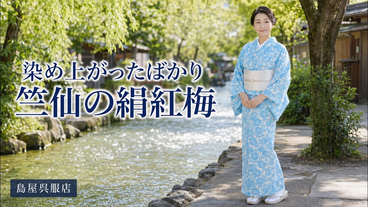 Chikusen Silk Plum Blossom] A newly dyed masterpiece | Silk plum