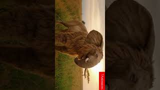 Unveiling The Mystical Yaazhi Ai-Driven Insights Into Ancient Tamil Myth