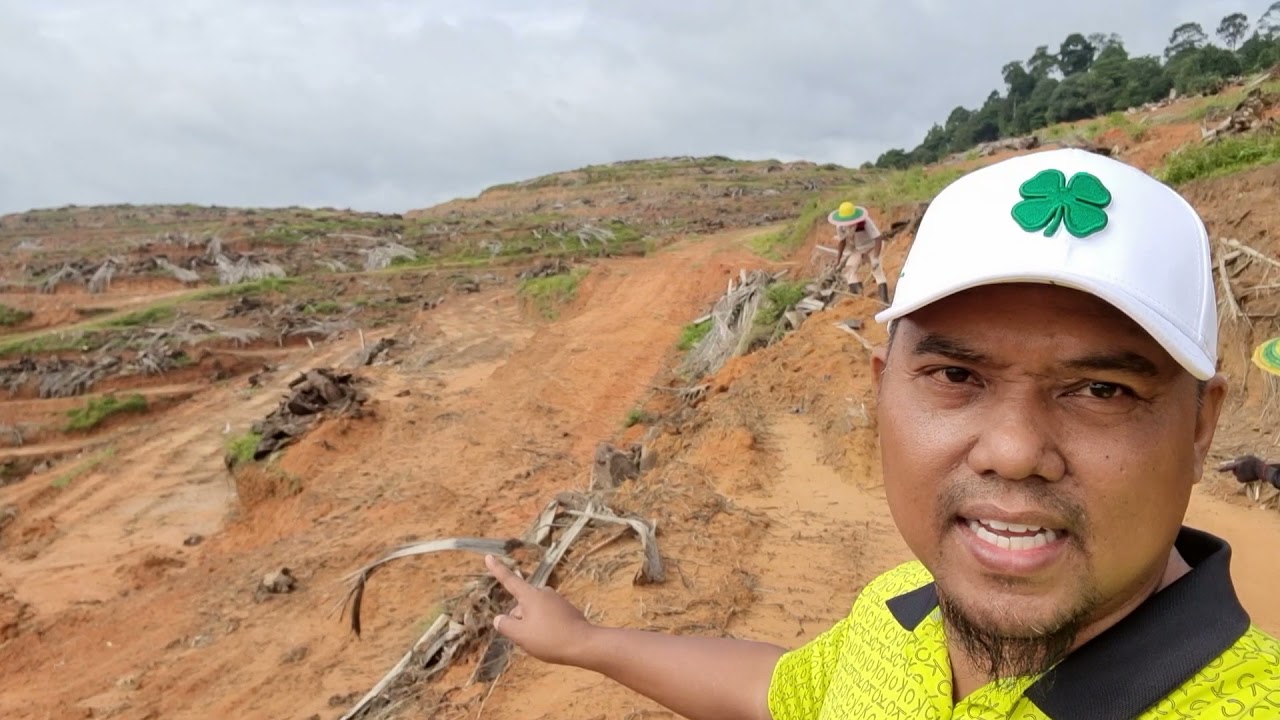 [Replanting Episode 6] Violle Lining, The Forgotten Technique?