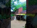 #bhojpuri #song #music sports kariye friends