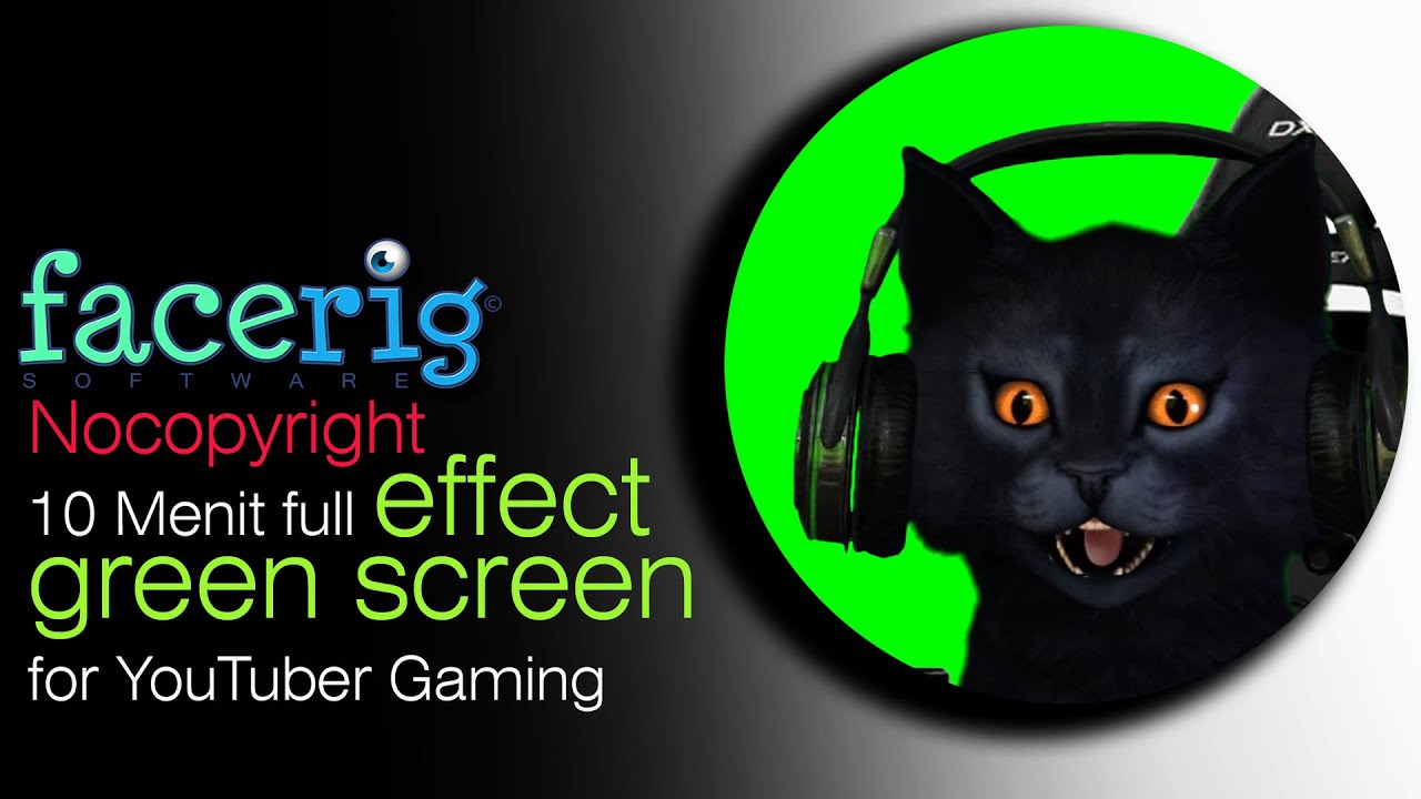 Free Facerig Black Cat + Kursi GAMING Acc Headset mata kuning ...