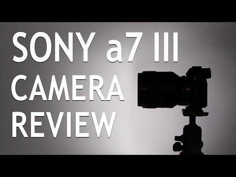 Sony α7 III In-Depth Camera Review