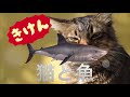 オリジナル曲「いのち」