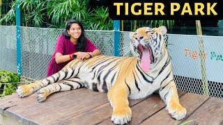 Tiger Park Pattaya Thailand Shruthi Telugu Vlogs Telugu Travel Vlogs
