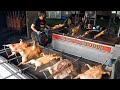 겉바속촉의 끝판왕! 300평 매장 운영, 태국 논타부리에서 유명한 통돼지 바베큐 - Crispy Pork Barbecue - Thai Food