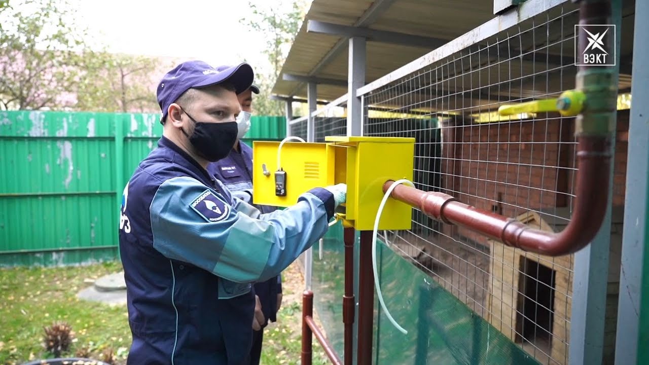 В каком году провели газ