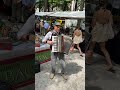 MACentertainment voor al uw muziekevenementen 30-05-2026 Haagse Montmartre Lange Voorhout Den Haag