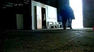 **Edward**Vanilla Twilight**