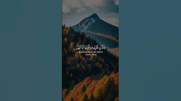 (وعد الله المؤمنين والمؤمنات )￼ بصوت #راشد_الأركاني#سورة_التوبة