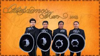 Video thumbnail of "Mariachi Citlalli cancion Hija Niña De Mi Corazón"