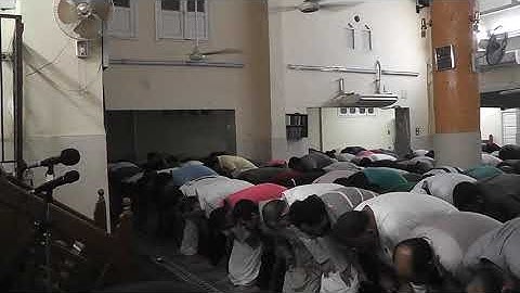 من أروع تلاوات سورة يوسف بنبرات مختلفة للشيخ بركات سيد البخاري رمضان 1440هـ - 2019م