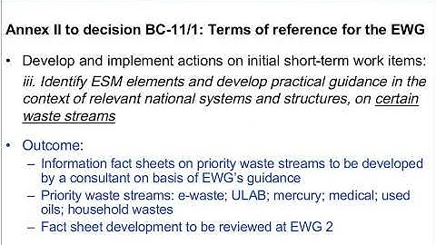 Webinar Outcomes of the first meeting of the Expert Working Group on ESM