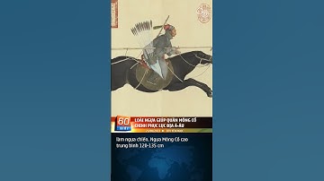 Loài ngựa giúp quân Mông Cổ chinh phục lục địa Á - Âu