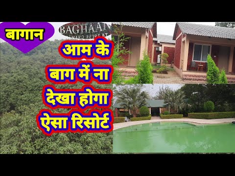 Mango tree resort:आम के बाग में गढ़ गंगा क्षेत्र में ऐसा रिसोर्ट नहीं देखा होगा आपने