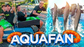 I MATES E FAVIJ SUGLI SCIVOLI PIU' VELOCI DELL' AQUAFAN! ESPERIENZA CON I DELFINI!