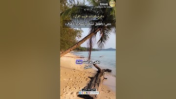 معنى:(فَطَفِقَ مَسْحًا بِالسُّوقِ وَالْأَعْنَاقِ),٦٦-شرح مفردات غريب القرآن،سورة ص،الشيخ خالد الحرمي